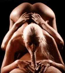 Sex Gif - 69 - blowjob with ball grabbing