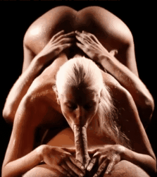 Sex Gif - 69 - delicious blowjob with ball grabbing