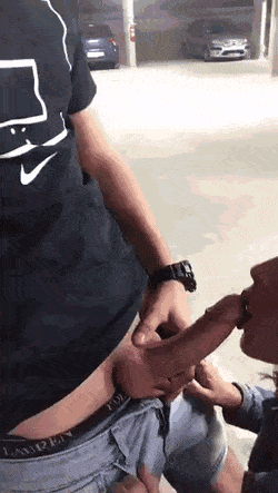 Sex Gif - AnchoredReasonableFrenchbulldog