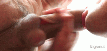 Sex Gif - Balls in motion