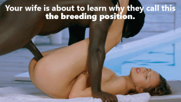 Sex Gif - breeding position