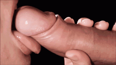 Sex Gif - Erotic dick-licking tease