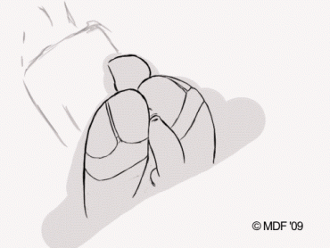 Sex Gif - furry ass bouncing