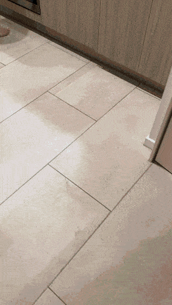 Sex Gif - grab whatever you want.