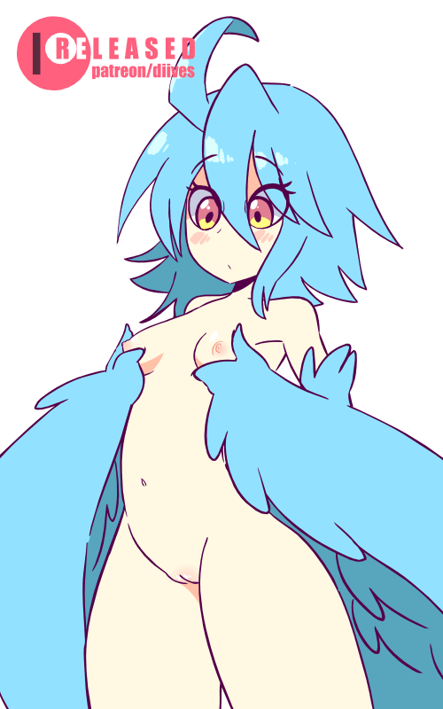 harpy diives