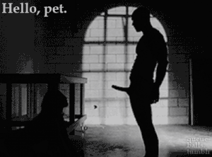 Sex Gif - Hello, pet