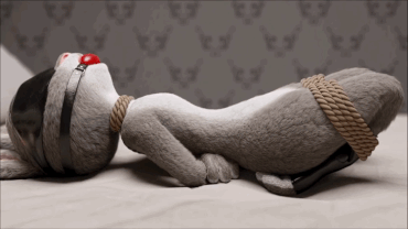 Sex Gif - Judy Hopps expanding sexual experiences