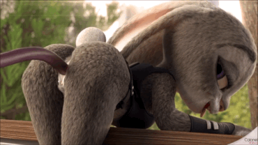 Sex Gif - Judy Hopps is a bunny I’d like to fuck