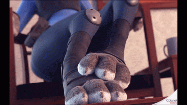 Sex Gif - Judy Hopps will massage your dick with her furry feet