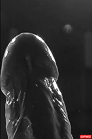 Sex Gif - JUST FOR THE GiRLS ! !