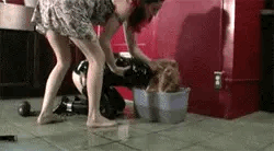 Sex Gif - Maid training