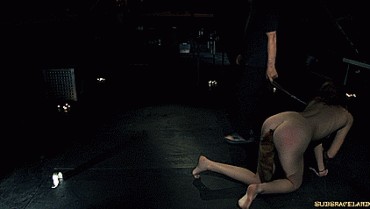 Sex Gif - Master walks his stubborn sex slave pet in BDSM punishment!