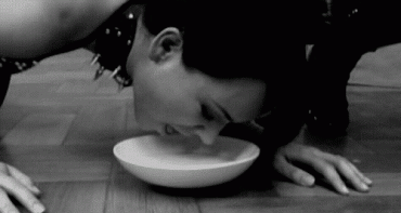 Sex Gif - My Pet