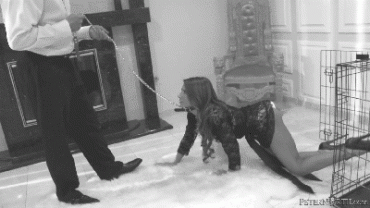 Sex Gif - Pet Bitch