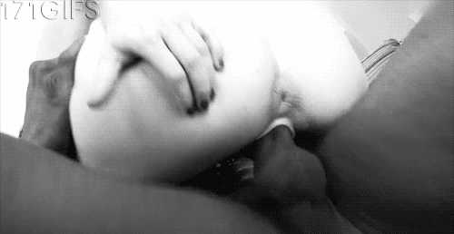 Porn Gallery