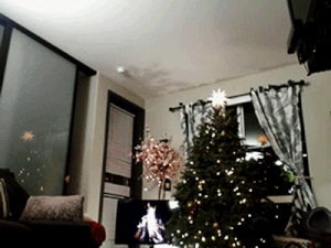Sex Gif - running around with christmas