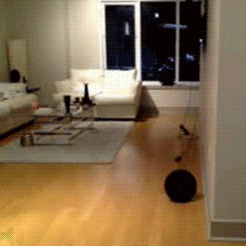 Sex Gif - Sexy redhead's Amazing ass wiggle