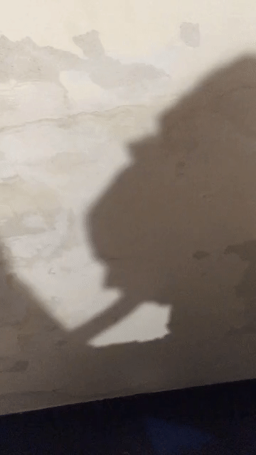 Sex Gif - slut has a deep throat SFW