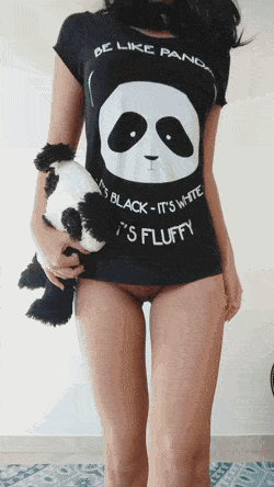 Sex Gif - The best panda