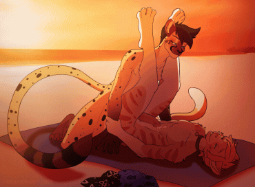 Sex Gif - Two cats fucking on the beach