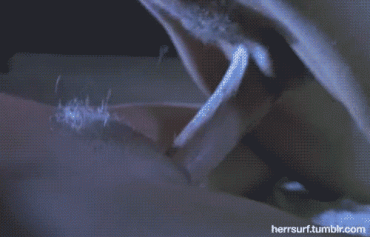 Sex Gif - vintage hairy pussy getting fucked scream glasses