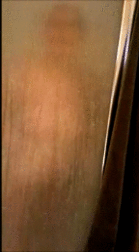 Sex Gif - wifey displaying her ample assets