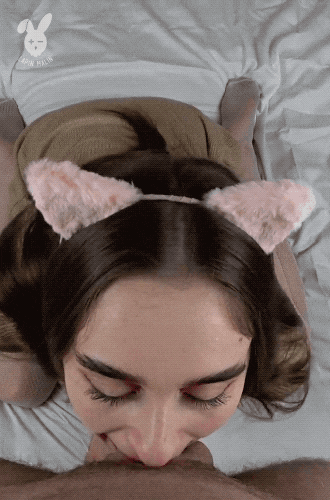 Sex Gif - Wild cat delights