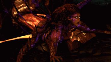 Sex Gif - wow thats huge