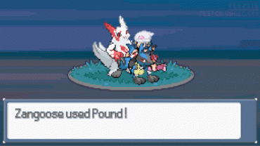 Sex Gif - Zangoose used Pound!