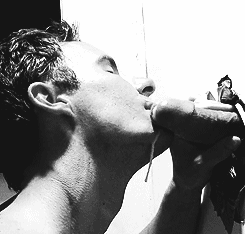 Sex Gif - A messy blowjob