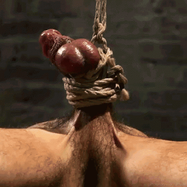 Sex Gif - Click here for more gay kink: