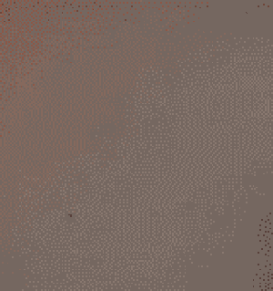 Sex Gif - Flash me now!