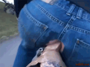 Sex Gif - fucking and exercising while riding bike.gif