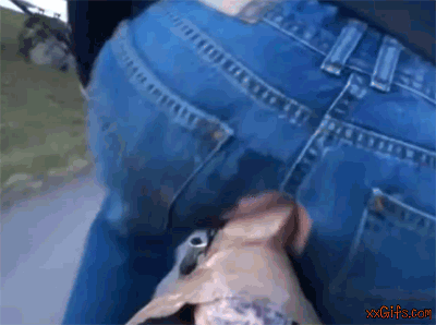 fucking and exercising while riding bike.gif