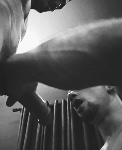 Sex Gif - Gay Blowjob from Daddy Bears