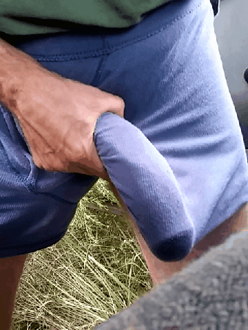 Sex Gif - Goosepickle > Giant Cock !!!