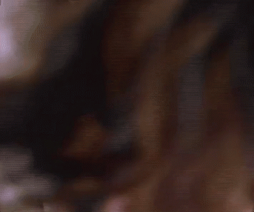 Sex Gif - Grabbing Annette Haven's breast