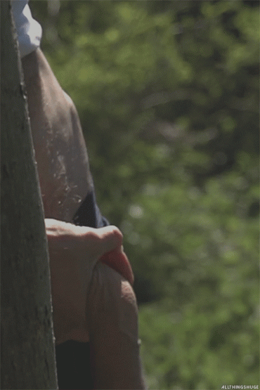 Sex Gif - Hi Yooo Silver