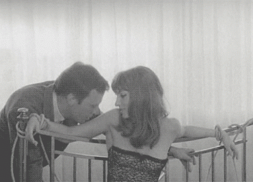 Sex Gif - His bitch pet