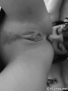 Sex Gif - Hot lesbian rimjob
