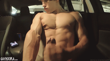 Sex Gif - jerking off in the car