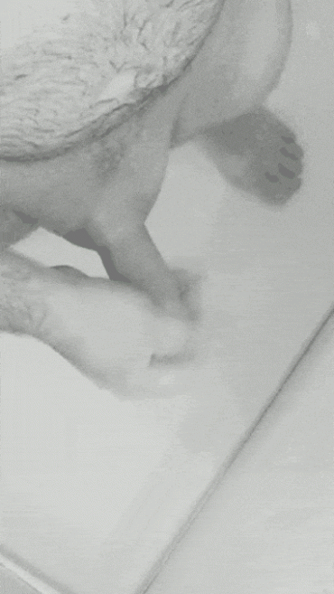 Sex Gif - Jerking out a load in the shower