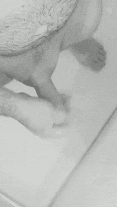 Jerking out a load in the shower