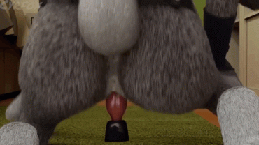 Sex Gif - Judy Hopps bouncing on fox dildo