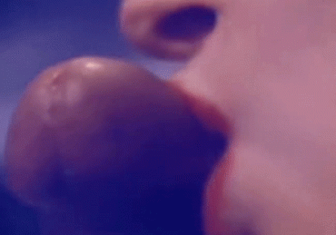 Sex Gif - Kissing cock
