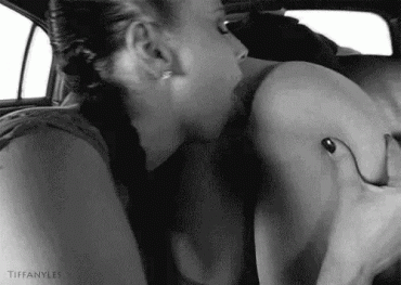 Sex Gif - Licking lesbians