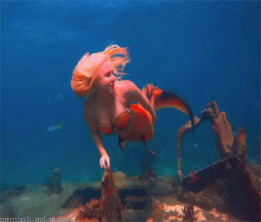 Sex Gif - Mermaid Melissa
