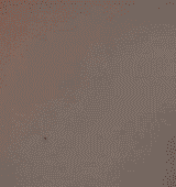 Sex Gif - Sorry I’m late! But here’s my tits!