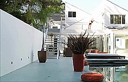 Sex Gif - the beautiful jennifer white sexy walk