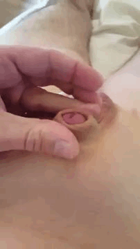 Sex Gif - very small
